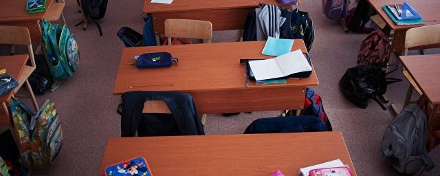 В Приморье идет проверка в школе, где ученица прочитала матерный стих