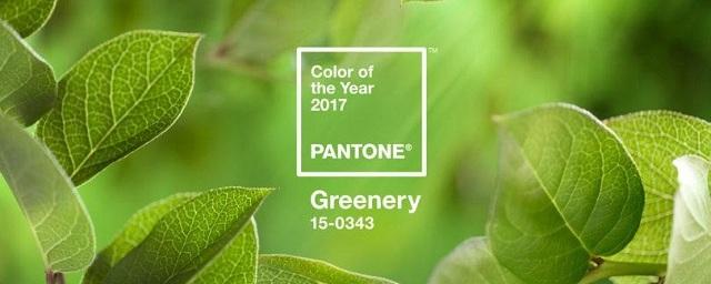 Эксперты Pantone определили главный цвет 2017 года