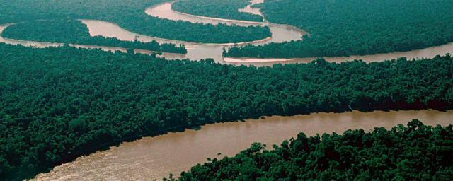 Ученые: Амазонка намного старше, чем считалось ранее
