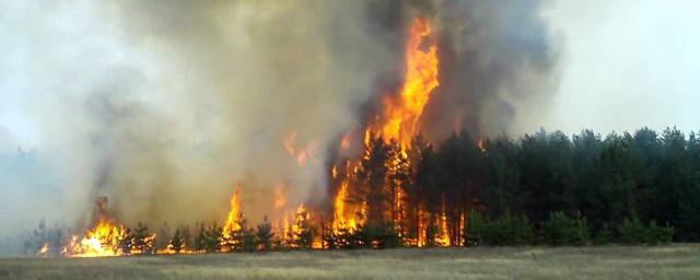В Нижегородской области установили третий класс пожароопасности