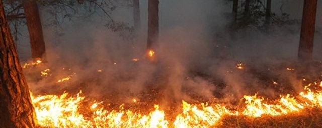 В Бурятии повторно ввели режим ЧС из-за лесных пожаров