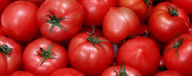 В Новосибирске зараженные молью томаты вернули отправителю