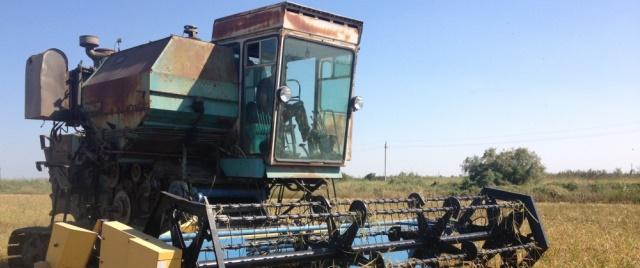 Дагестанские аграрии продолжают уборку риса, кукурузы и подсолнечника