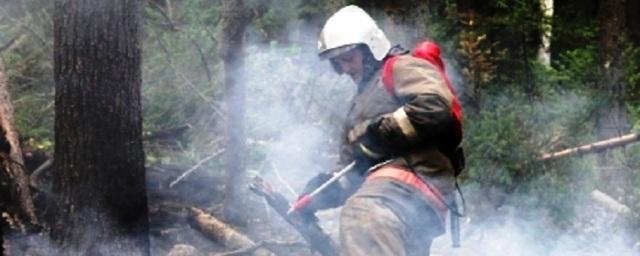В Бурятии за сутки случилось 5 лесных пожаров