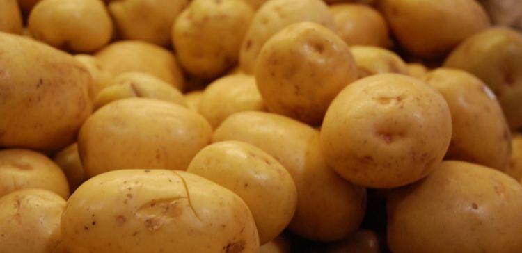 В Ульяновске 3 октября состоится День картофеля