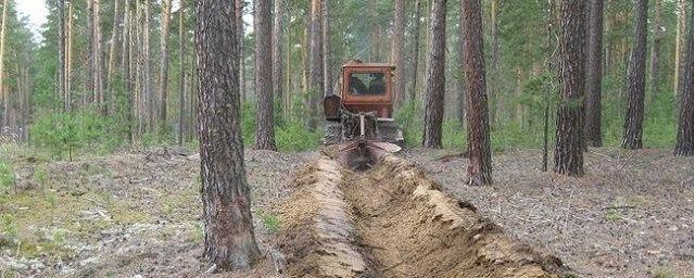 В Хабаровском крае обновят около 600 км минерализованных полос