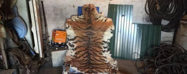 Двое приморцев убили амурского тигра и пытались продать его шкуру