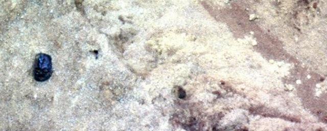 Уфологи обнаружили на Марсе голову Дарта Вейдера