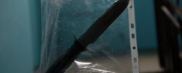 В Подмосковье защищавший мать 10-летний мальчик ударил ножом отца