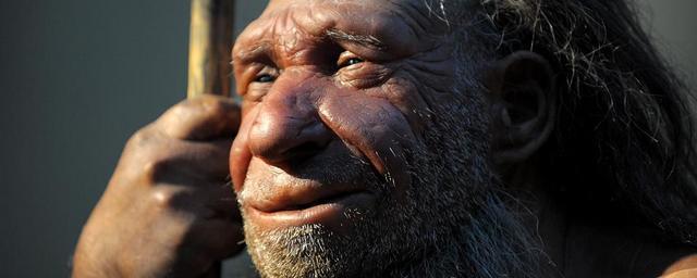 В Крыму археологи нашли зуб неандертальца