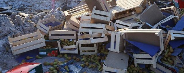 В Самаре уничтожили 1,5 тонны санкционных томатов и груш