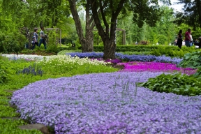 Конкурс на восстановление ботанического сада объявлен в Луганске
