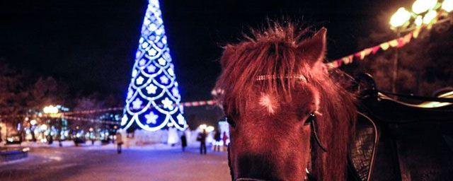 В Иркутске 24 декабря состоится открытие главной городской елки