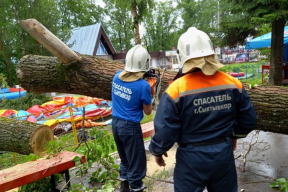 УК из Сыктывкара оплатит замену окон в квартире, выбитых поваленным деревом