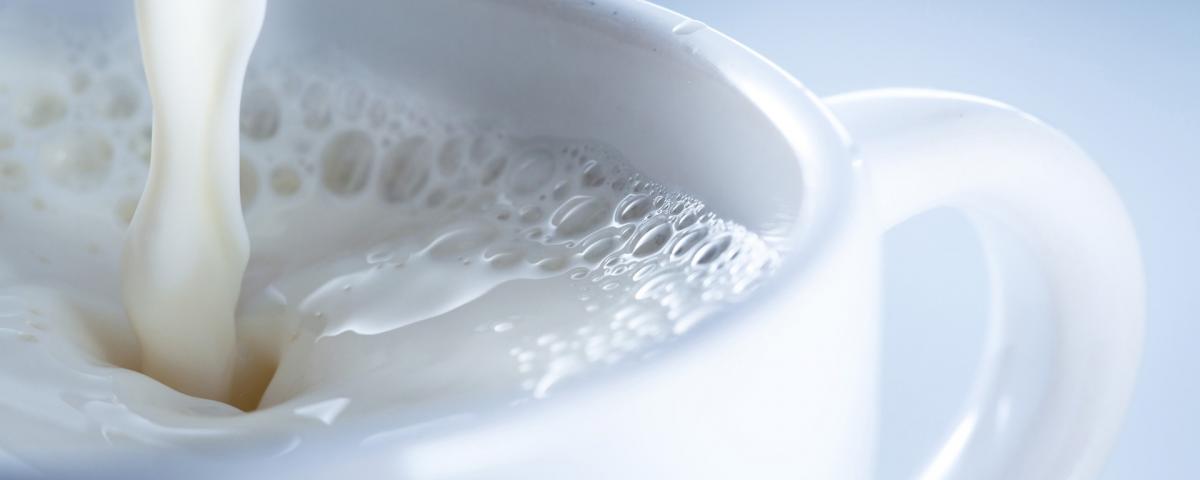 Эксперты не советуют пить горячее молоко при простуде