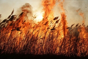 В Ставропольском крае готовятся к пожароопасному летнему сезону