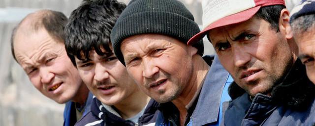 В Югре запретили трудоустраивать мигрантов в отдельных отраслях