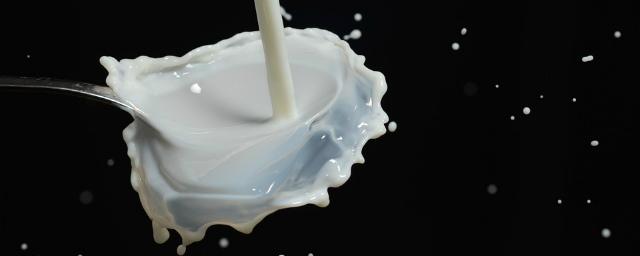 Четыре вида молока из Иркутской области претендуют на Знак качества
