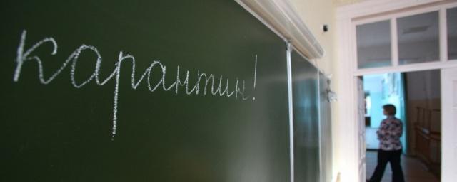 В Омской области 22 школы и 15 детсадов ушли на карантин
