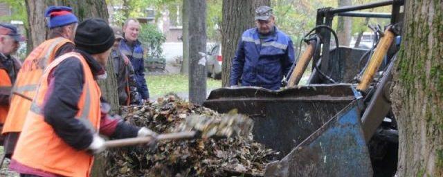 Ярославские коммунальщики начали активнее убирать опавшую листву