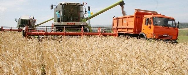 Аграрии Хабаровского края заготовили более 22 тысяч тонн грубых кормов