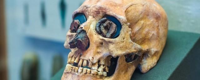 Ученые выяснили, зачем неандертальцу нужен был большой нос