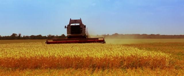 Тамбовские аграрии собрали 2,1 млн тонн зерна