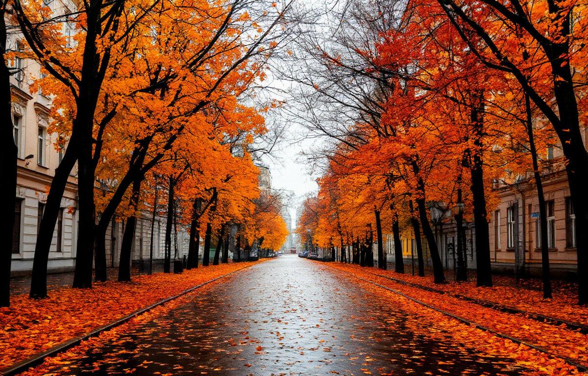 Вильфанд: На Кубани температура будет находиться на уровне 17-19 градусов