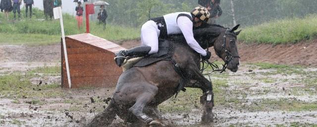 В Ижевске состоится чемпионат Приволжья по конному троеборью
