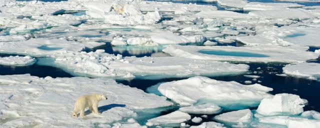 Ученые NASA создали ролик о стремительном таянии льдов Арктики
