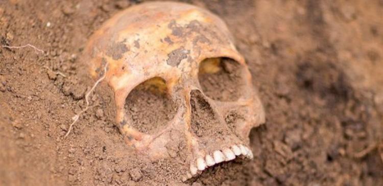 Археологи обнаружили на Ямале загадочные захоронения
