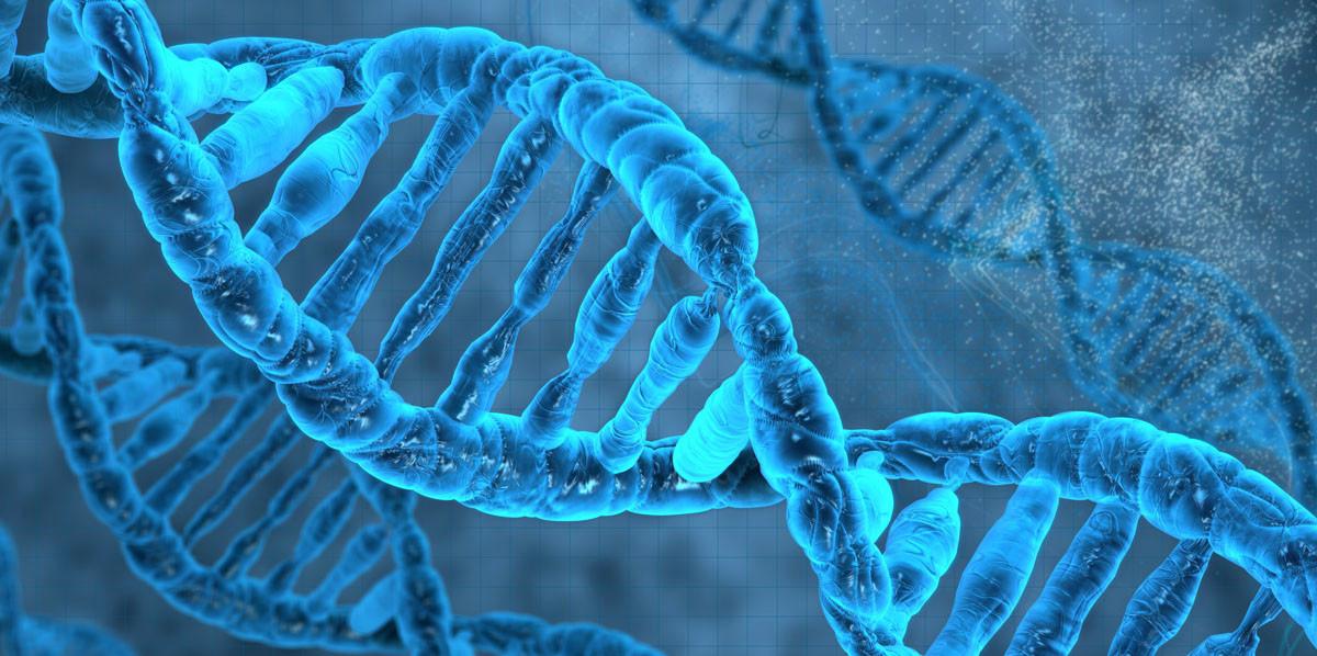 Ученые доказали влияние генетики на успех в жизни