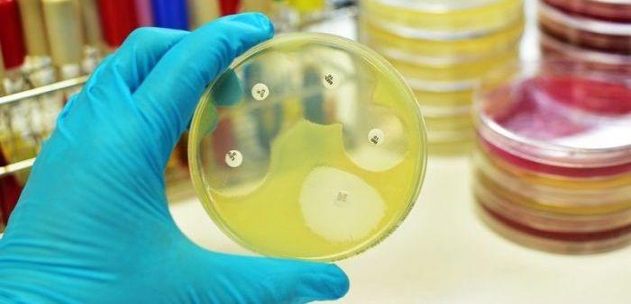 В США женщина умерла от устойчивой к антибиотикам супербактерии