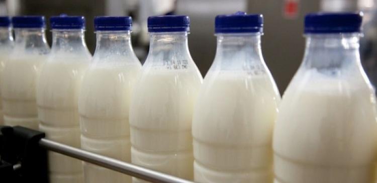 Ученые: Магазинное молоко опасно для здоровья