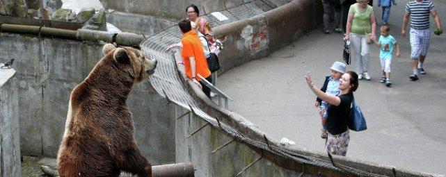 Калининградский зоопарк отпразднует 70-летний юбилей