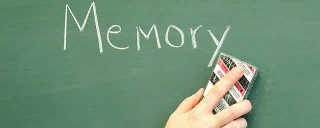 Ученые рассказали, как формируется долгосрочная память