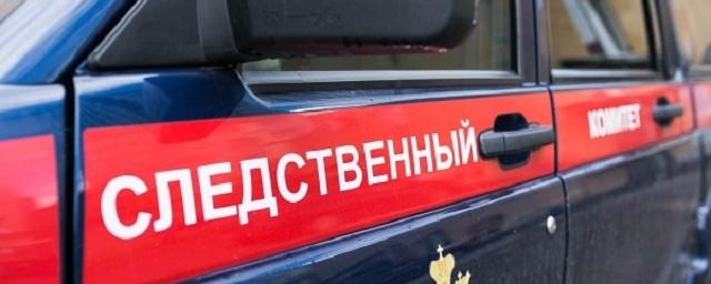 Возбуждено дело по факту фальсификации выборов в Воронежской области