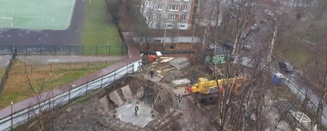 В Петербурге возобновили стройку возле парка Александрино