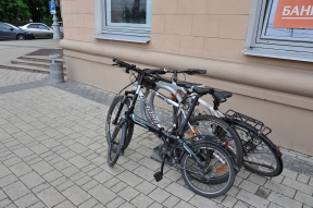 В Перми больше всего подорожали услуги ветврачей и велосипеды