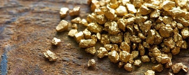 Китайский инвестор начнет добывать золото в Забайкалье