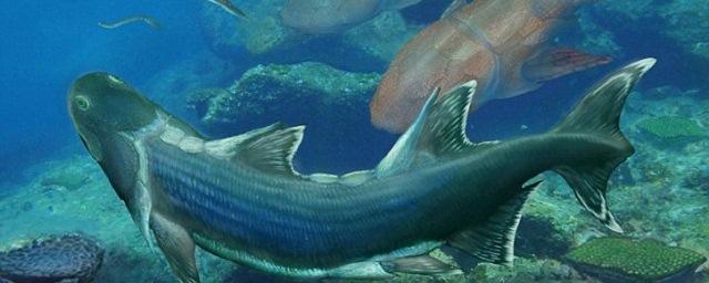 На юго-западе Китая обнаружили останки рыбы возрастом около 420 млн лет