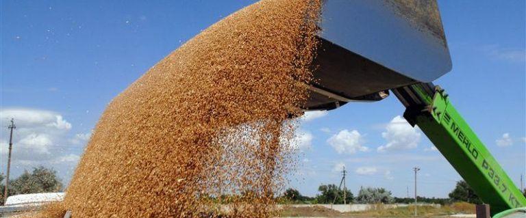 Минсельхоз снизил прогноз экспорта зерна на 2017 год