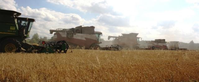 Рязанские аграрии намолотили первый миллион тонн зерна