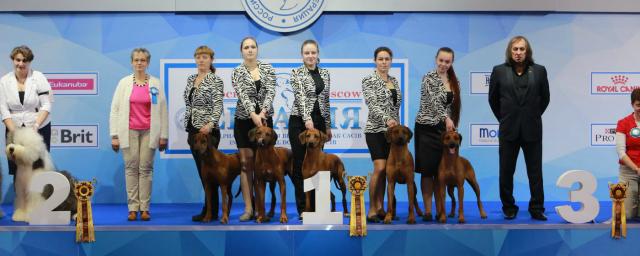 В Москве прошла международная выставка собак «Евразия-2018»