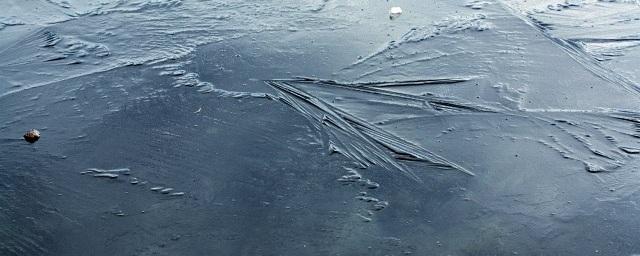 В Воронеже спасли двух провалившихся под лед рыбаков