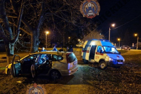 В Тепло-Огаревском районе Honda съехала в кювет и водитель погибла от удара в дерево