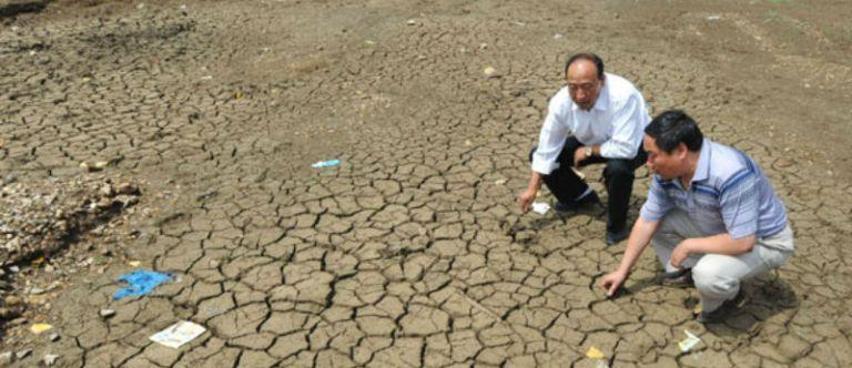 ООН: КНДР нужна срочная продовольственная помощь из-за засухи