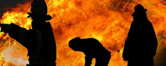 За сутки при пожарах в Новгородской области погибли два человека