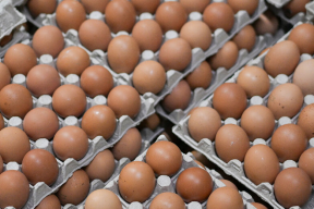 Цены на яйца в Ростовской области не снижаются независимо от импорта