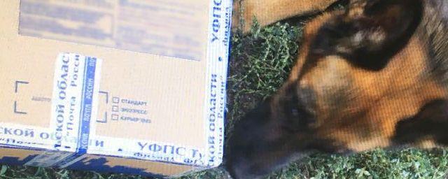 Служебная собака обнаружила гашиш в посылке для рязанского заключенного